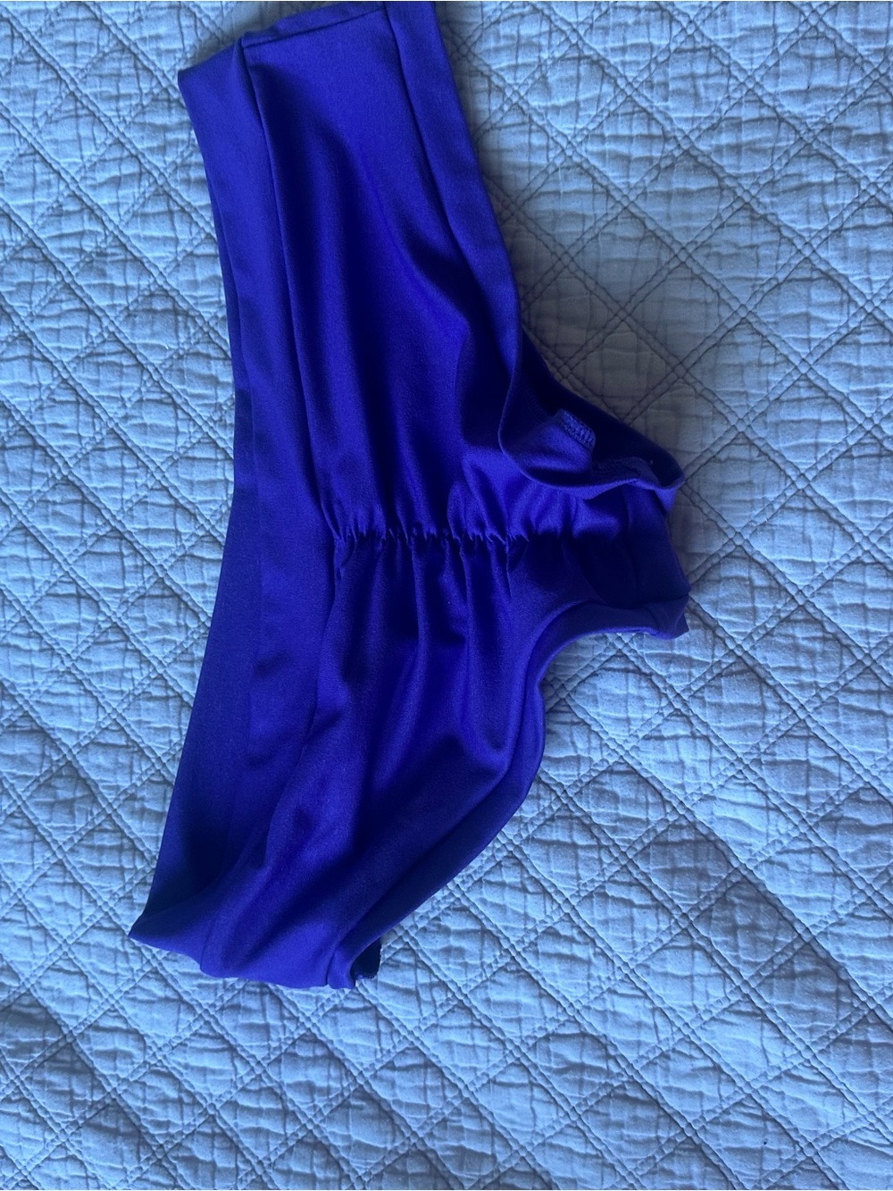 Vibrant purple bad kitty pole scrunch bum /Swimsuit/volleyball
